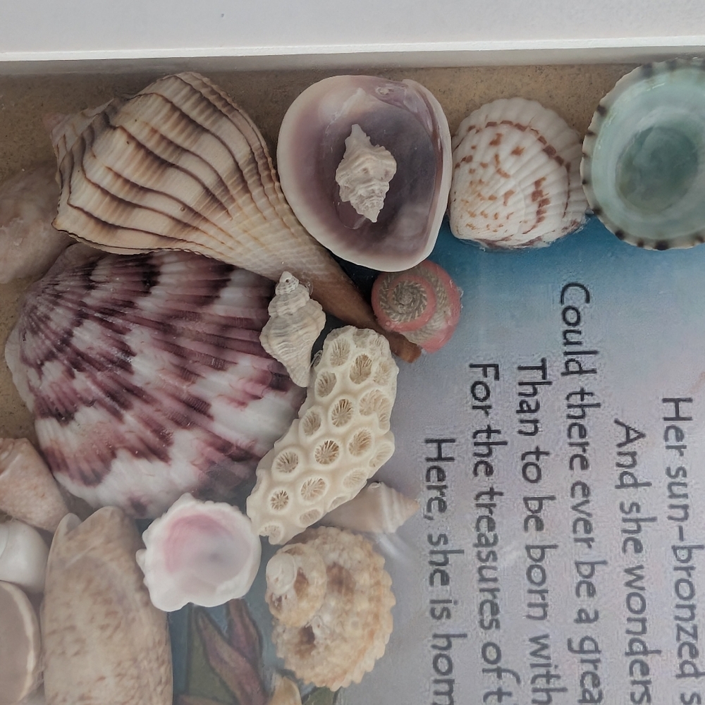 Framed Coastal Seashell Art “Songs that Mermaids Sing” & Fox Conch Decor | - Picture 6 of 9